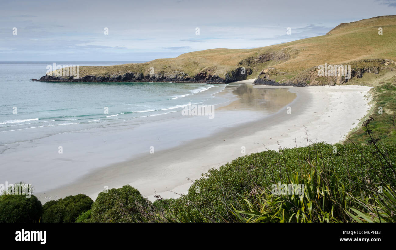 Deserted Beaches near Harrington Point, Dunedin, New Zealand Stock Photo