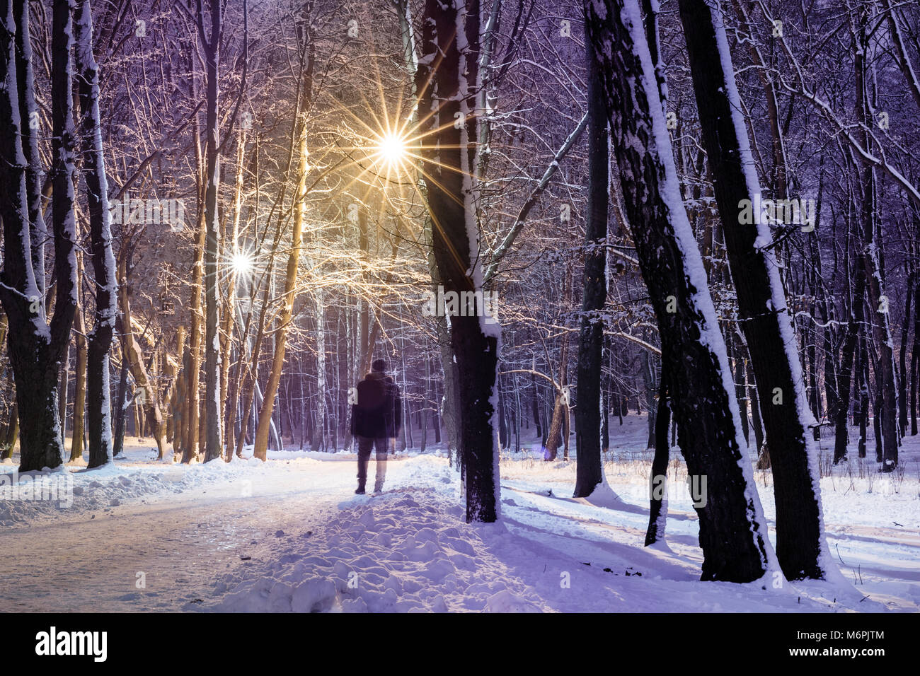 Snowy alley in winter park. City park road covered with snow at night ...