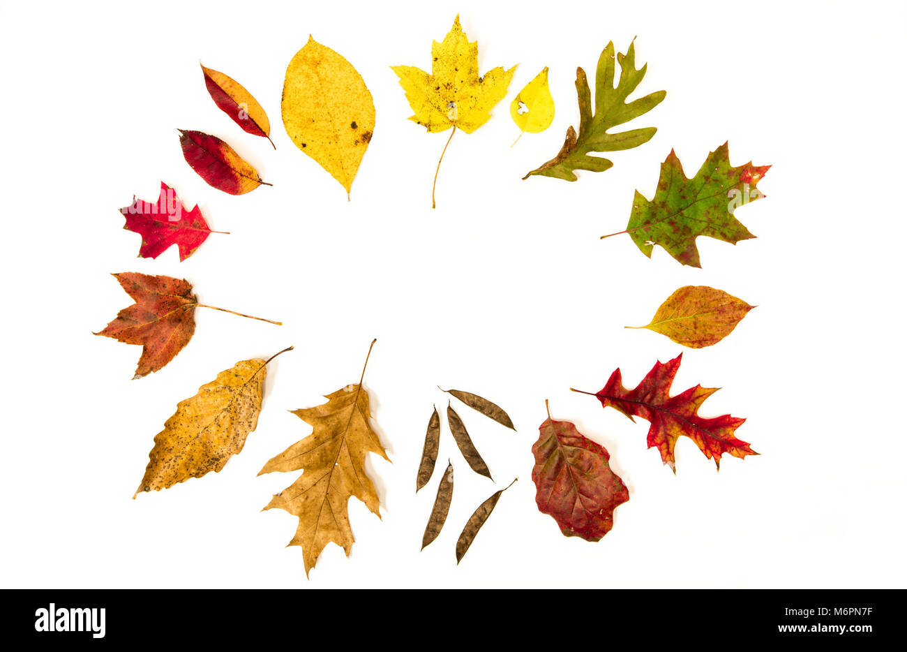 Colorwheel High Resolution Stock Photography and Images - Alamy
