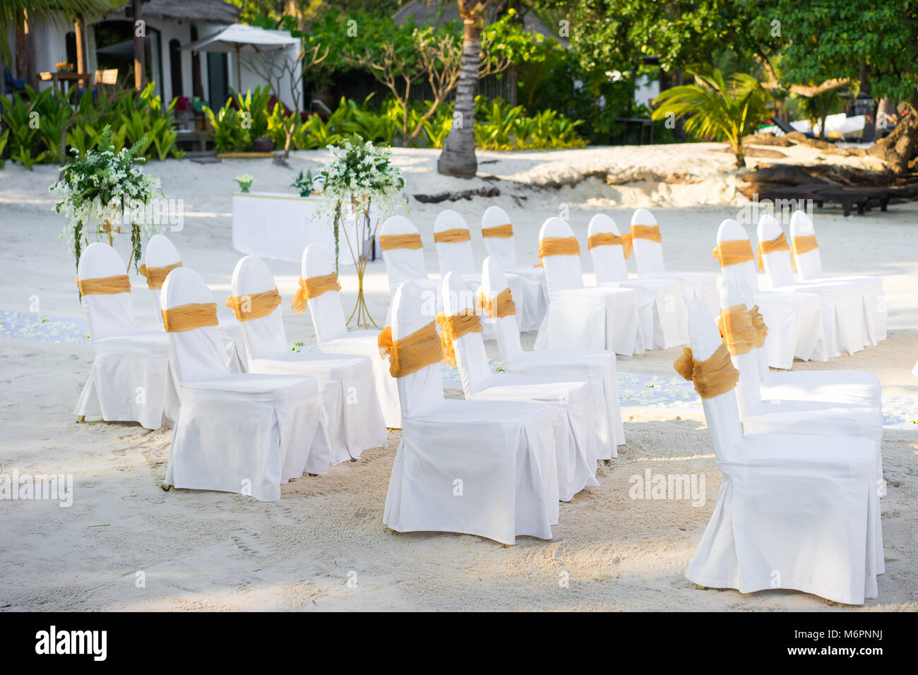 A group of white spandex chairs cover with gold organza sash for beach wedding venue Stock Photo