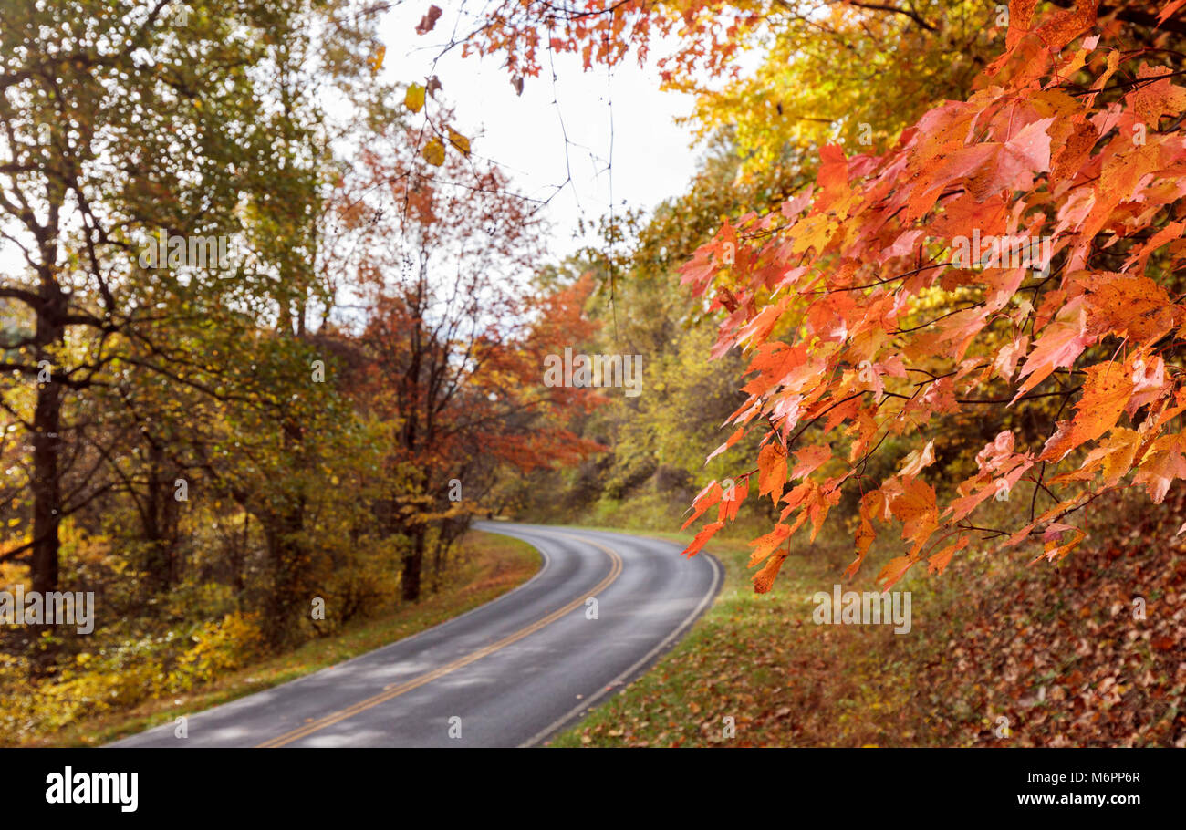 Late Fall in Shenandoah. North District (mile 6-20)  ( Stock Photo