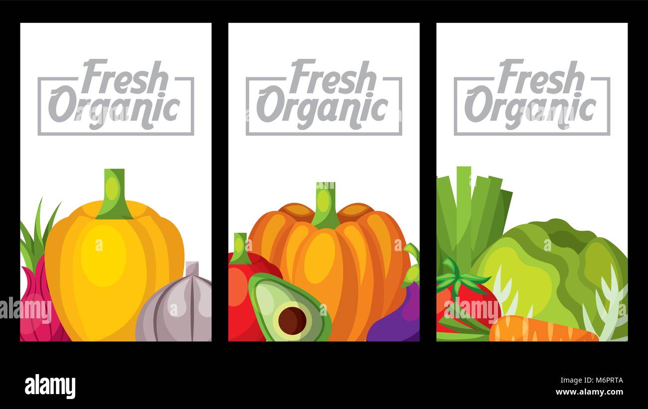 vegetables fresh organic set banners vector illustration Stock Vector