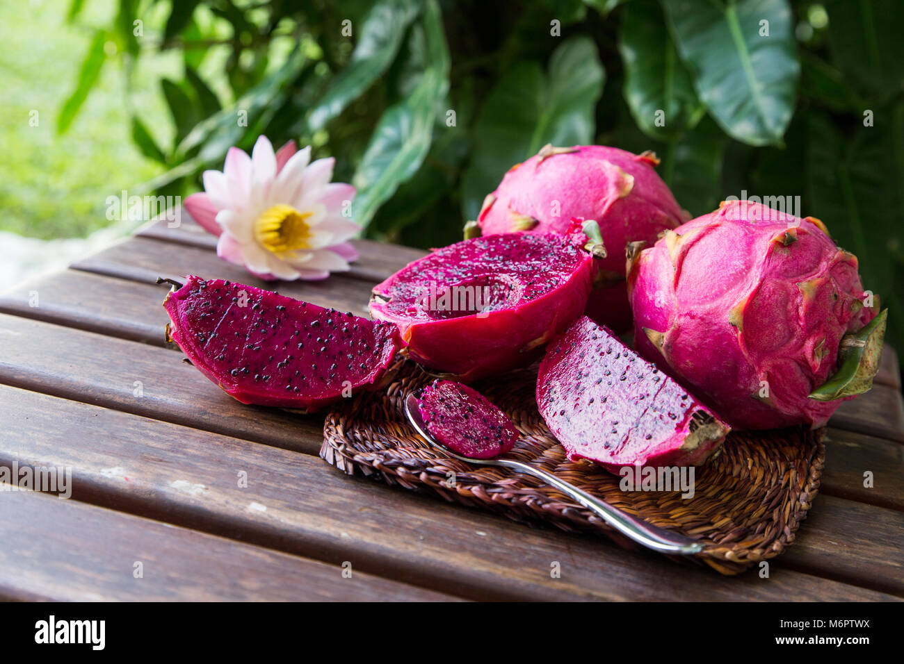Dragonfruit