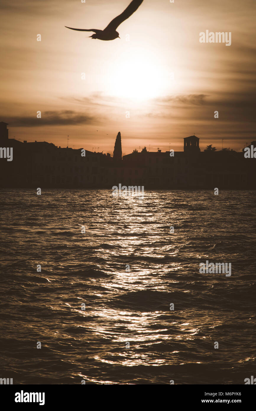 Winter sunset with silhouettes of palaces and churches in Venice, Italy ...