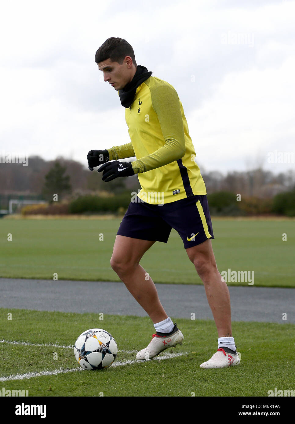 Tottenham Hotspur's Erik Lamela during the training session at Tottenham Hotspur Football Club Training Ground, London. Stock Photo