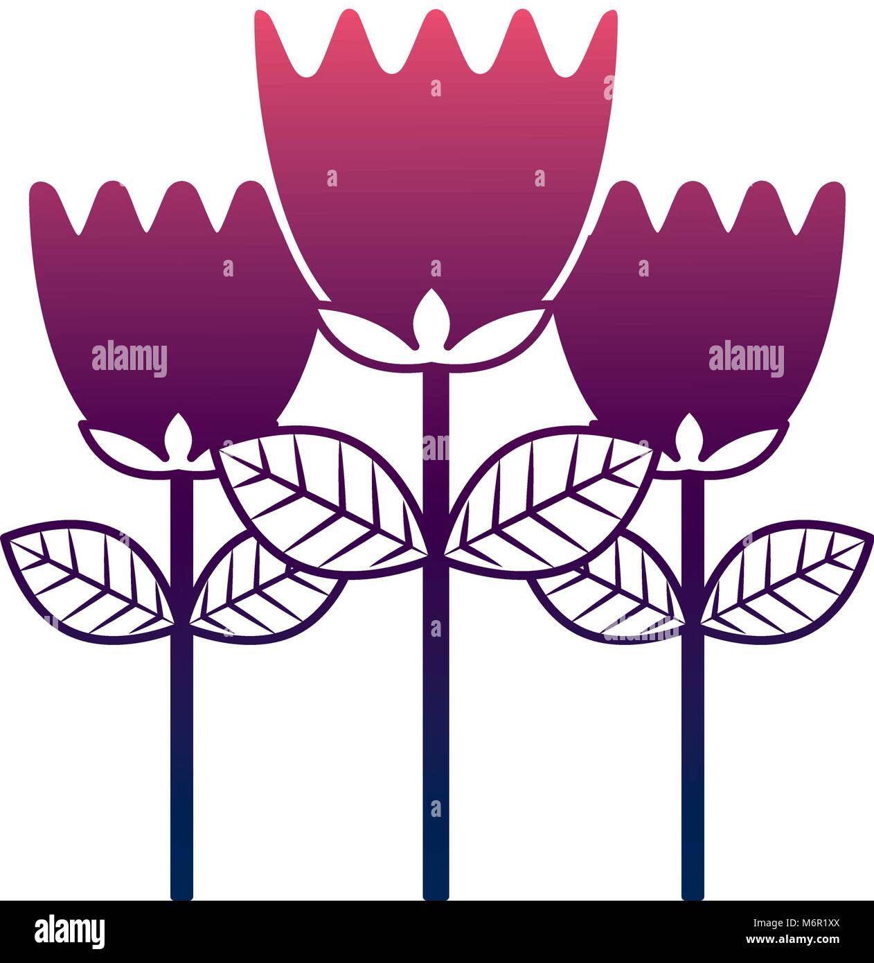 Tulip Flowers Decoration Natural Romantic Vector Illustration Degrade 