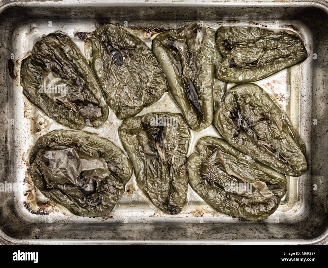 Roasted green peppers Stock Photo