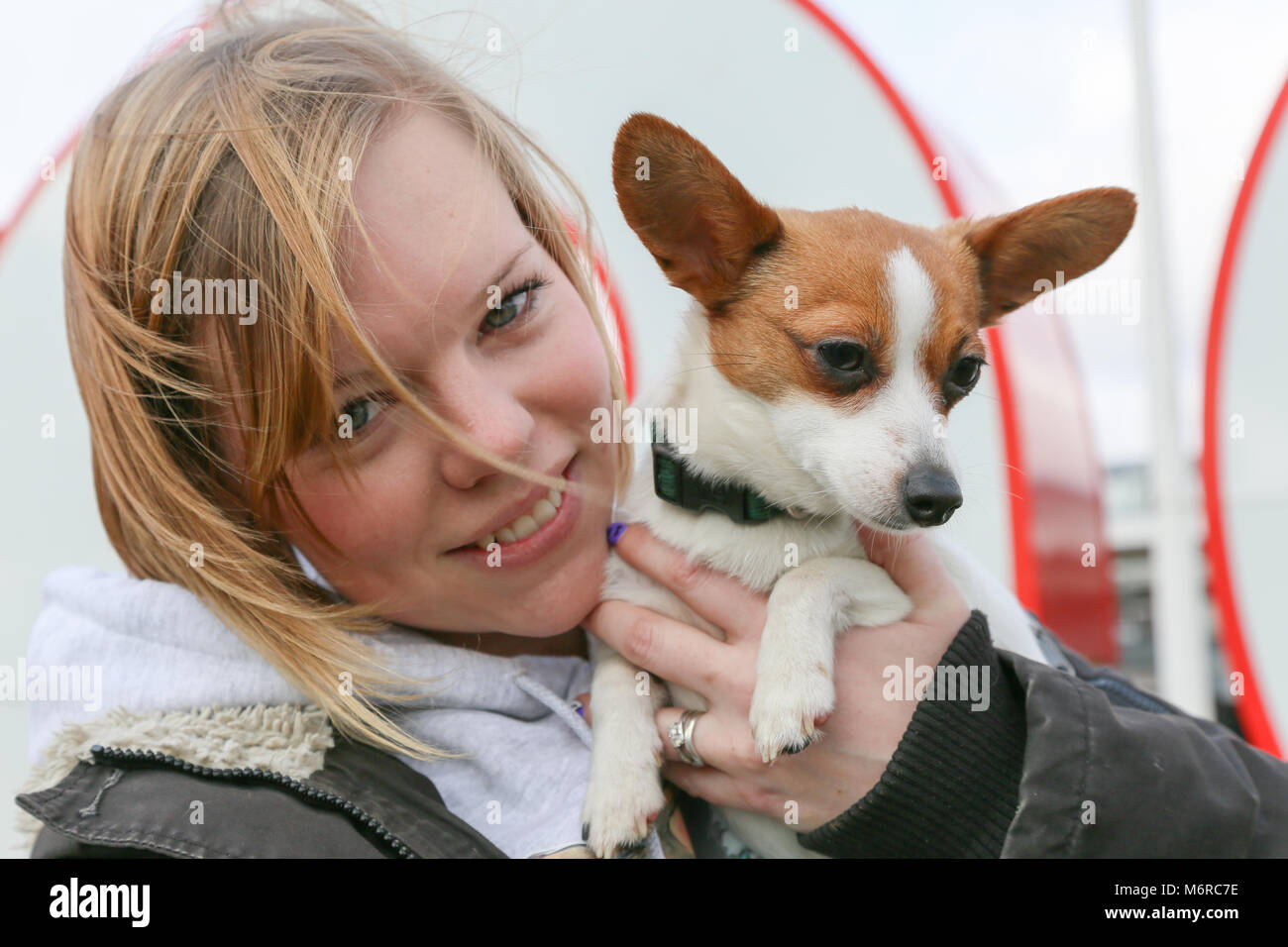 At the launch of Crufts 2018 at the NEC, Birmingham, Envy, a Papillon and Jack Russell cross, is held by her owner Megan Smyth. Stock Photo