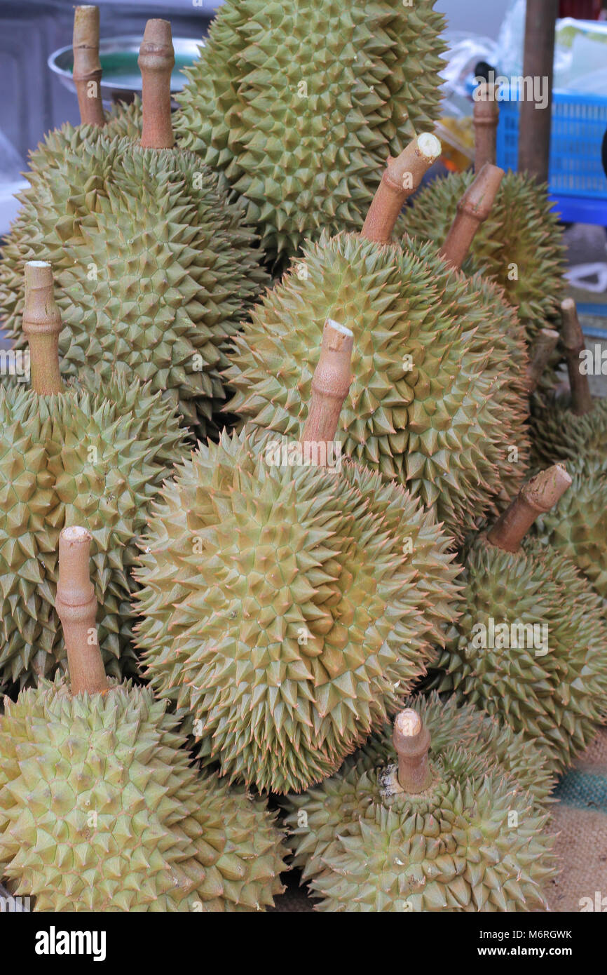 Fresh durian fruit. King of fruit which has specific smell Stock Photo