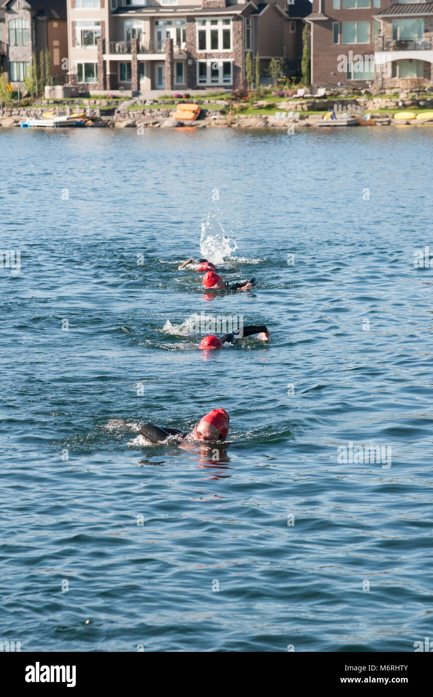 Women open water swimmers hi-res stock photography and images - Alamy
