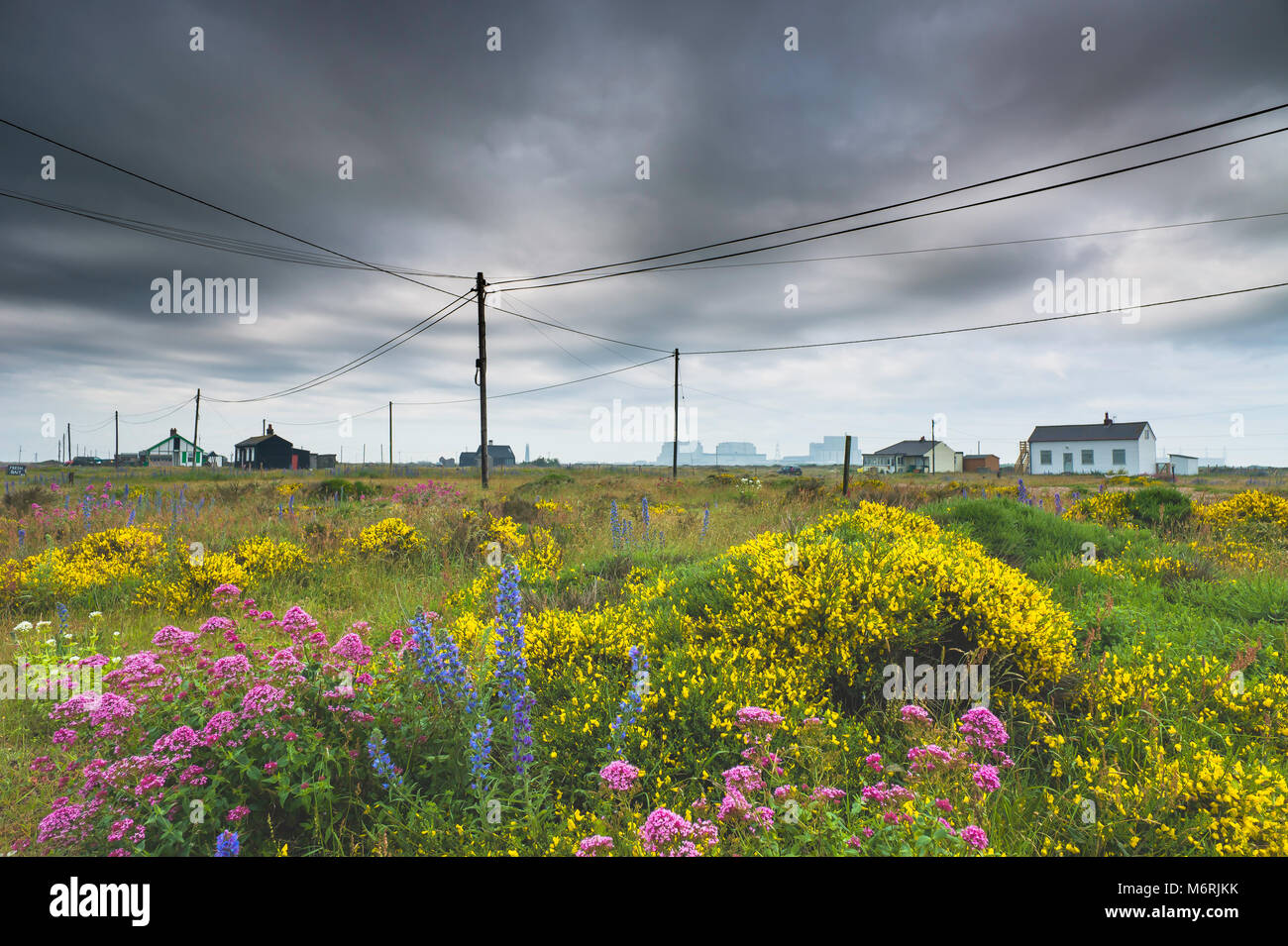 Ealry morning view of Dungeness with its scatter of wooden buildings and telephone poles. Stock Photo