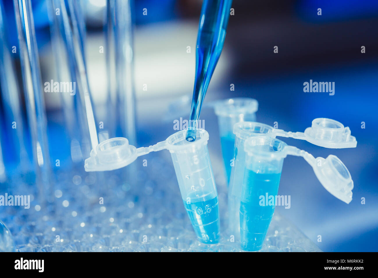 The Eppendorf tubes Stock Photo Alamy