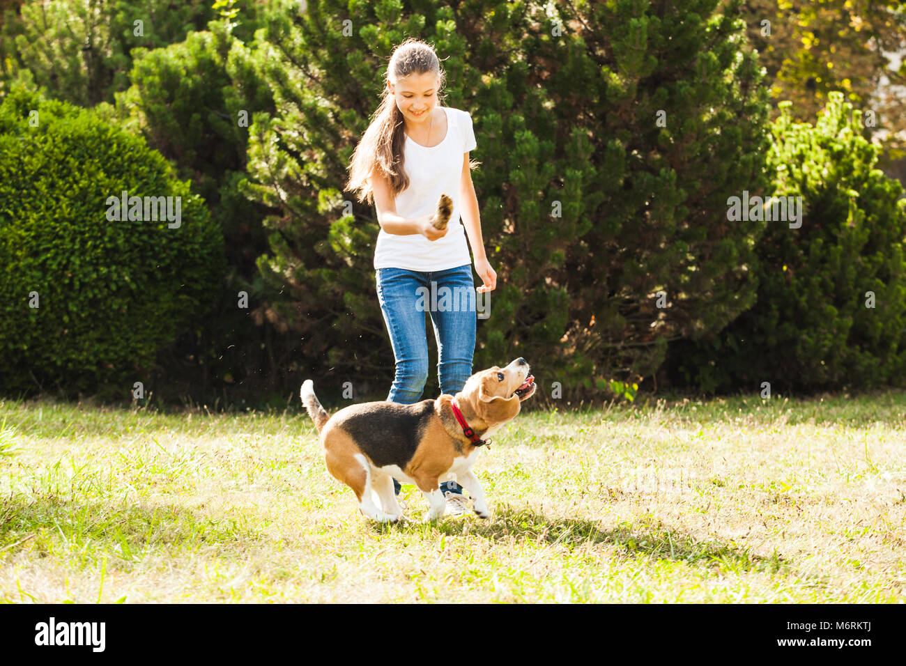 Girl plays with a dog in the yard Stock Photo - Alamy