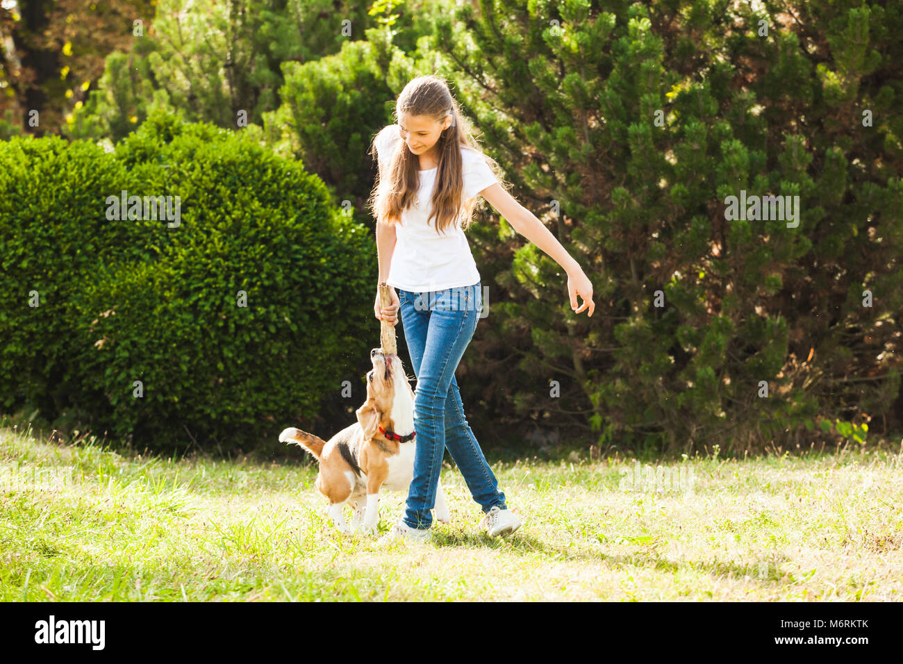 Girl plays with a dog in the yard Stock Photo - Alamy