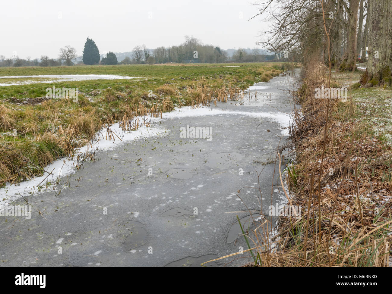Narrow frozen stream in Winter in West Sussex, England, UK. Iced over water. Stock Photo