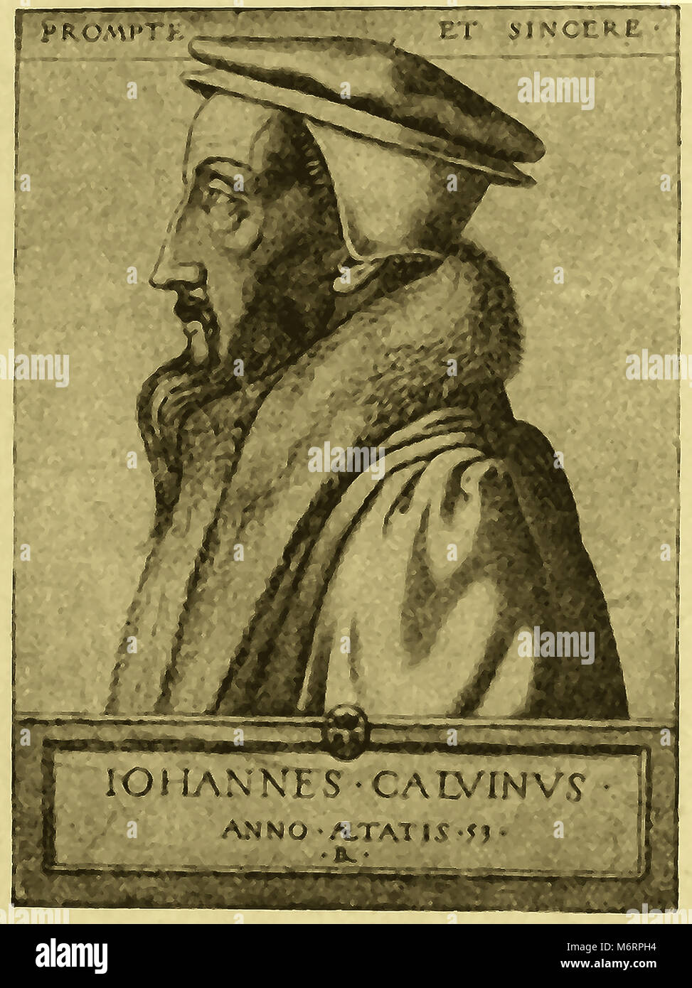 A French portrait of  John Calvin (Jehan Cauvin), French humanist, lawyer, theologian, pastor and reformer aged 53 Stock Photo