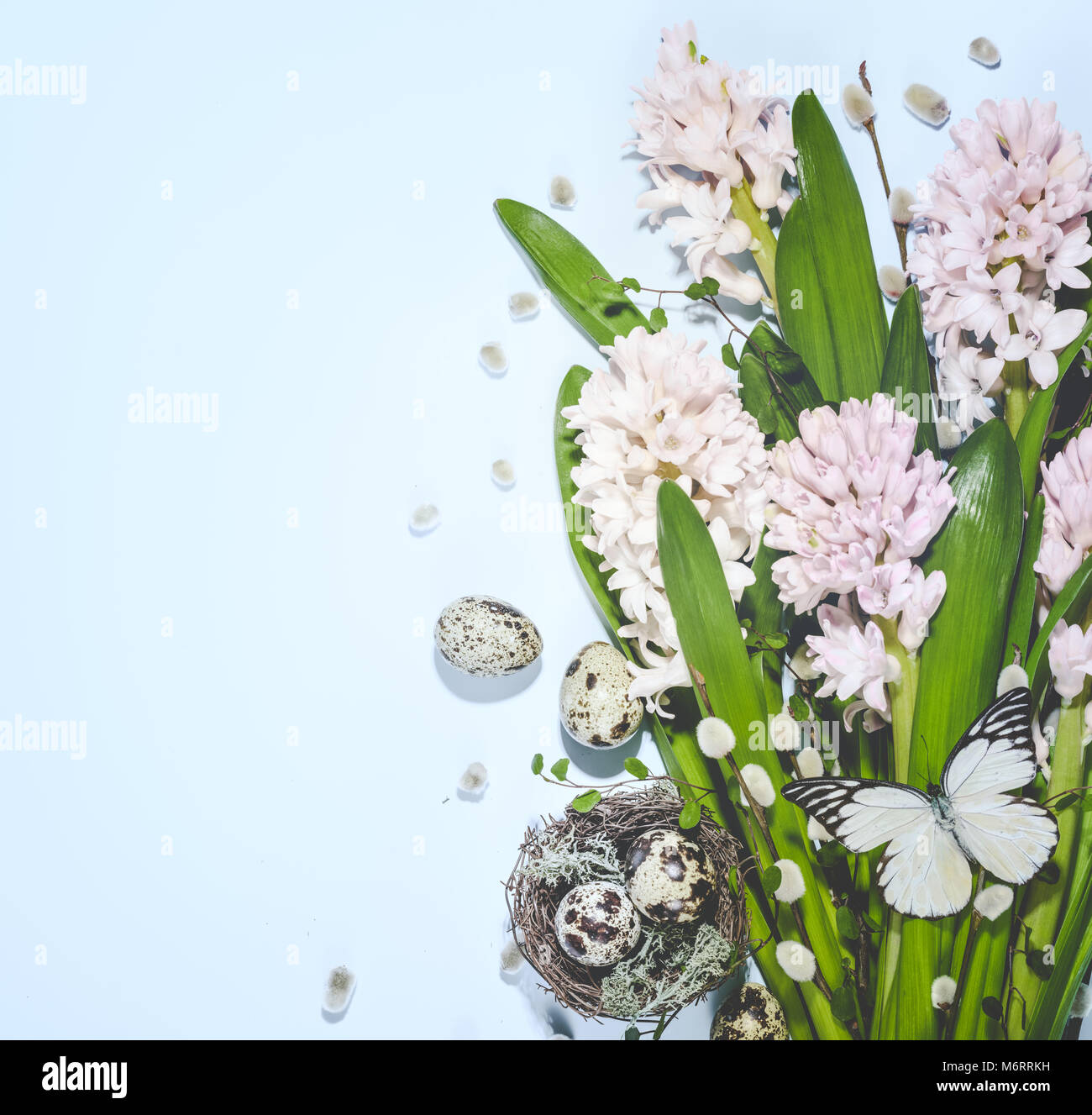 Quail nest with eggs and spring flower Stock Photo - Alamy