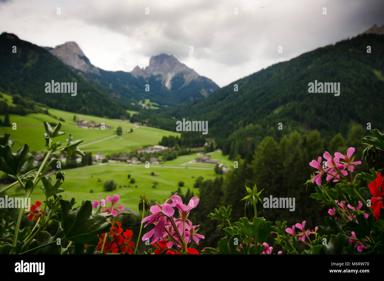 Dolomite landscapes in the summer green of Trentino Stock Photo - Alamy