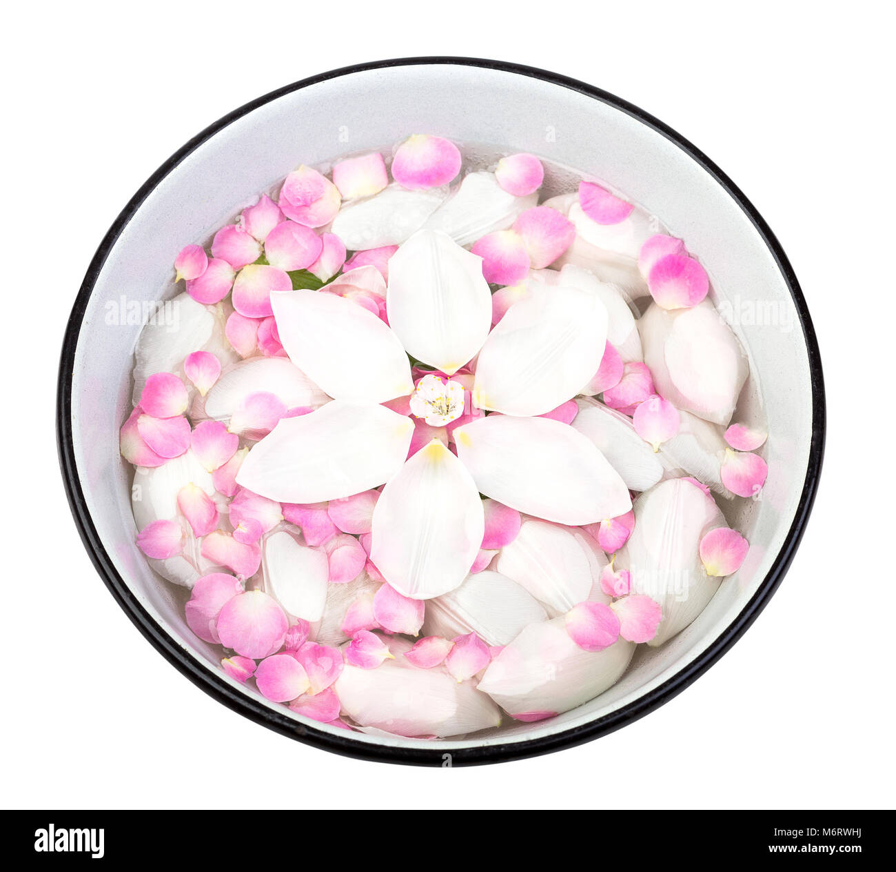 Rose petals floating in water Cut Out Stock Images & Pictures Alamy