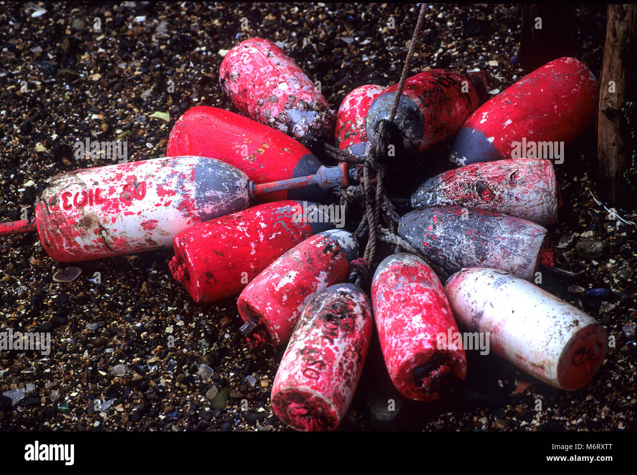 Lobster Buoys in the mud in a Maine haarbor, USA Stock Photo