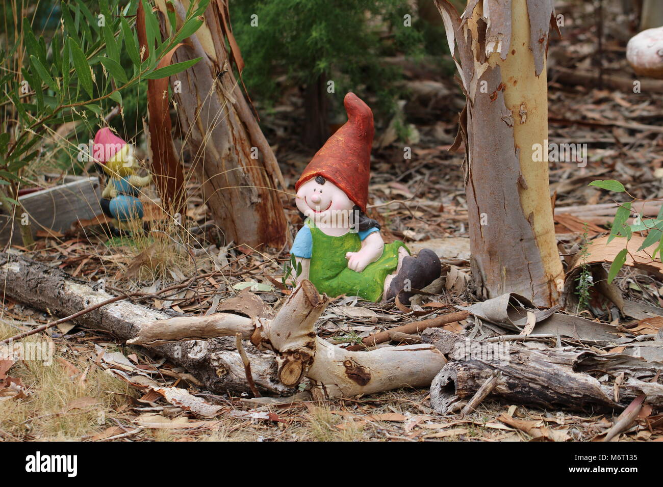 Girl gnome in gnome garden beneath gum trees, South Australian bush block Stock Photo