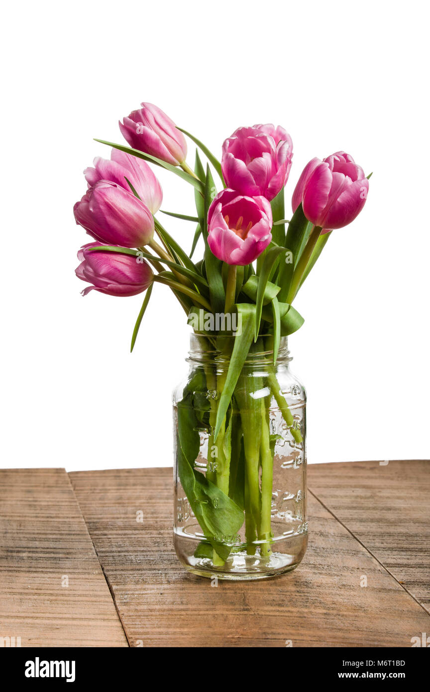 Pink tulips in a clear mason jar vase Stock Photo