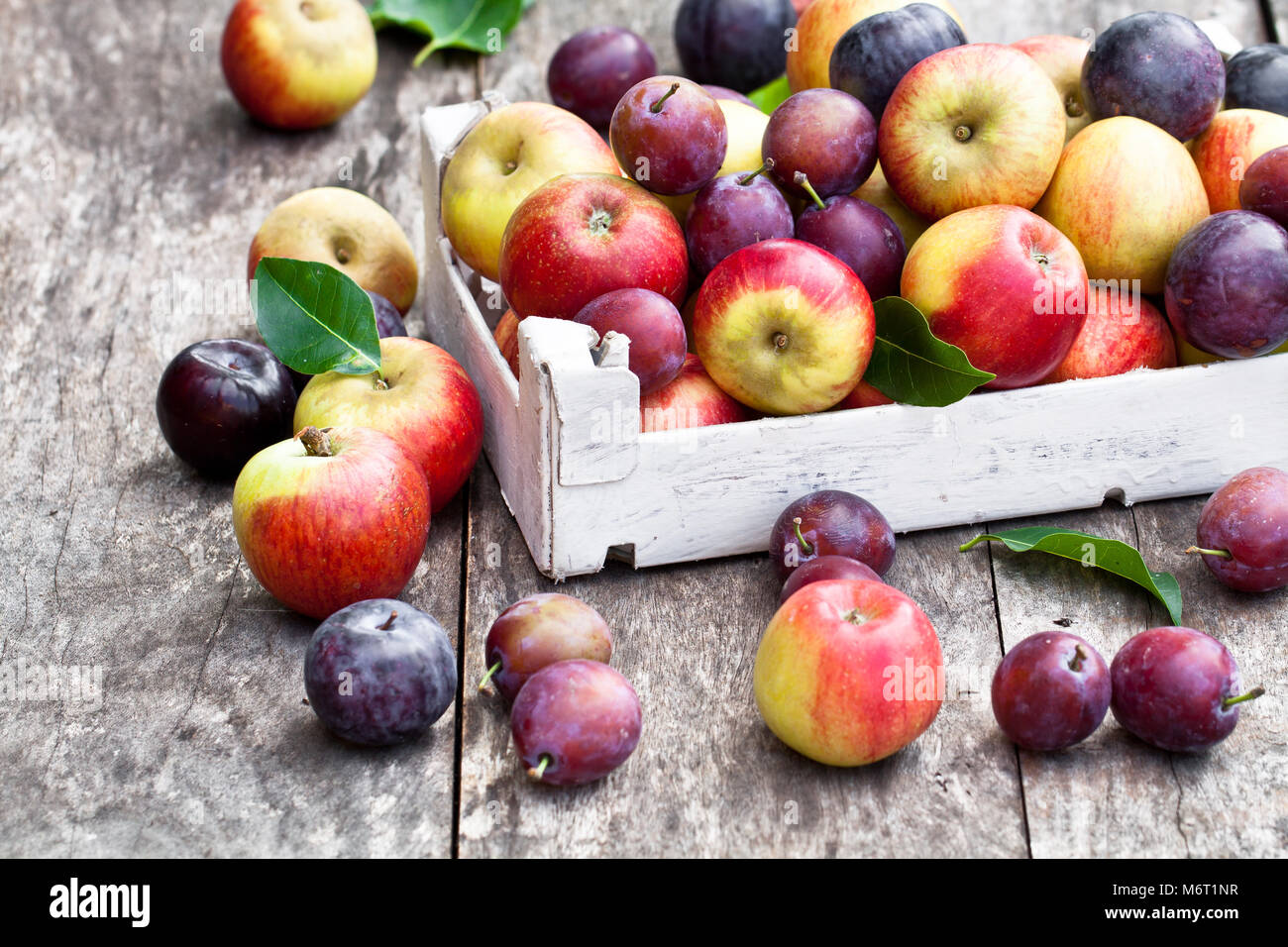 Seasonal  fruits. Apples and plums on a wooden table Stock Photo