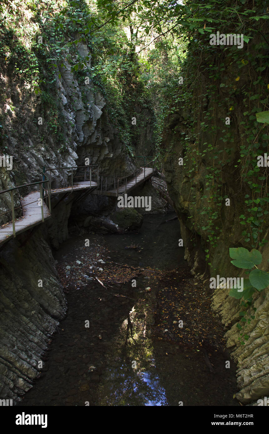 mamed-gorge-with-a-bed-of-dried-up-river-surrounded-by-greenery-stock