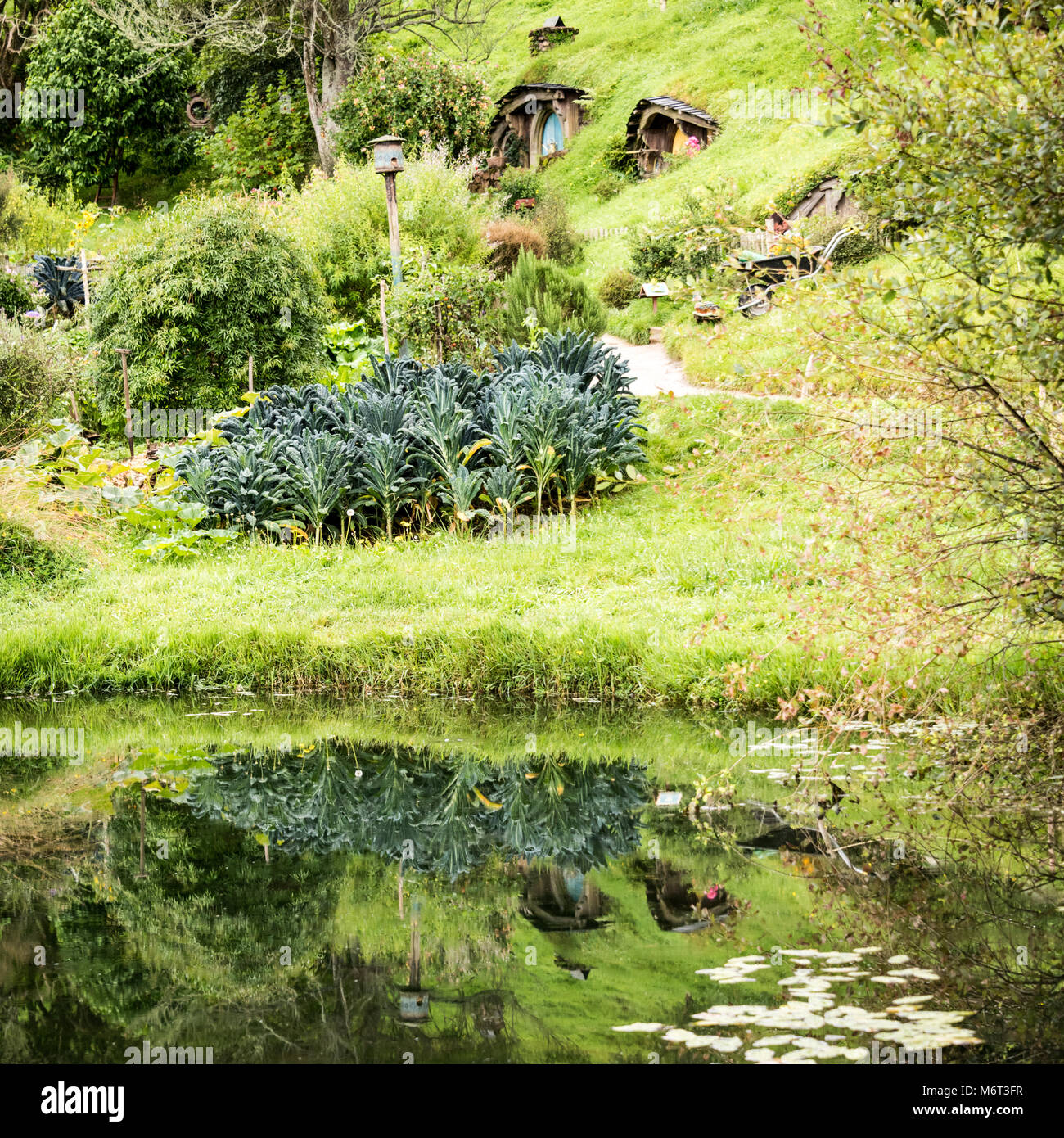 Hobbiton Movie Set, Matamata, North Island, New Zealand Stock Photo