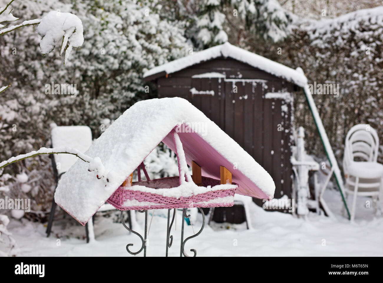 Pink Bird Feeder Covered In Snow Stock Photo 176323329 Alamy