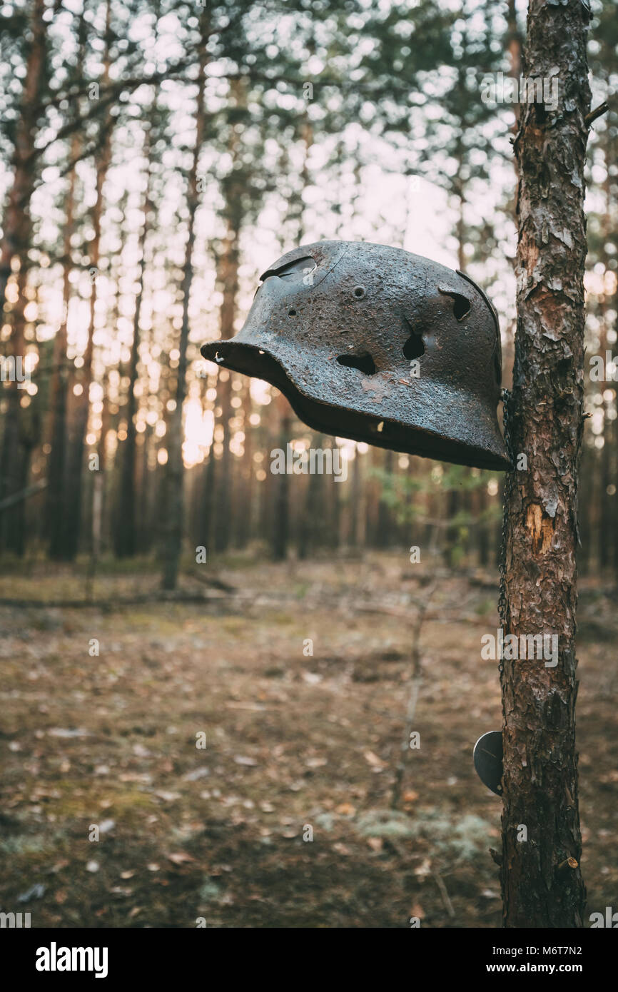 Damaged By Bullets And Shrapnel Metal Helmet Of German Infantry Wehrmacht Soldier At World War II. Rusty Helmet Hanging On Tree Trunk. Stock Photo