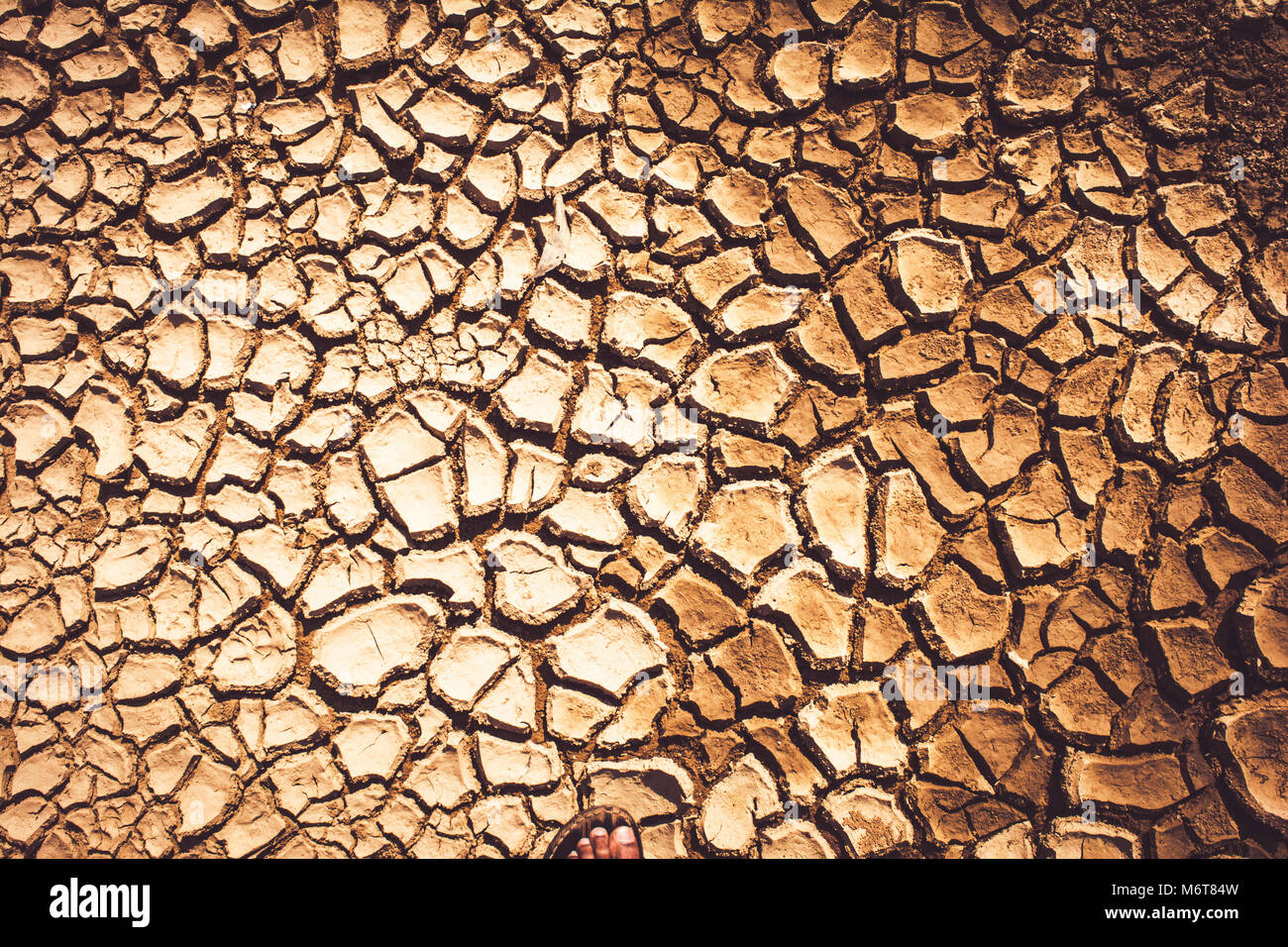Cracked and parched earth in a lake bed Stock Photo
