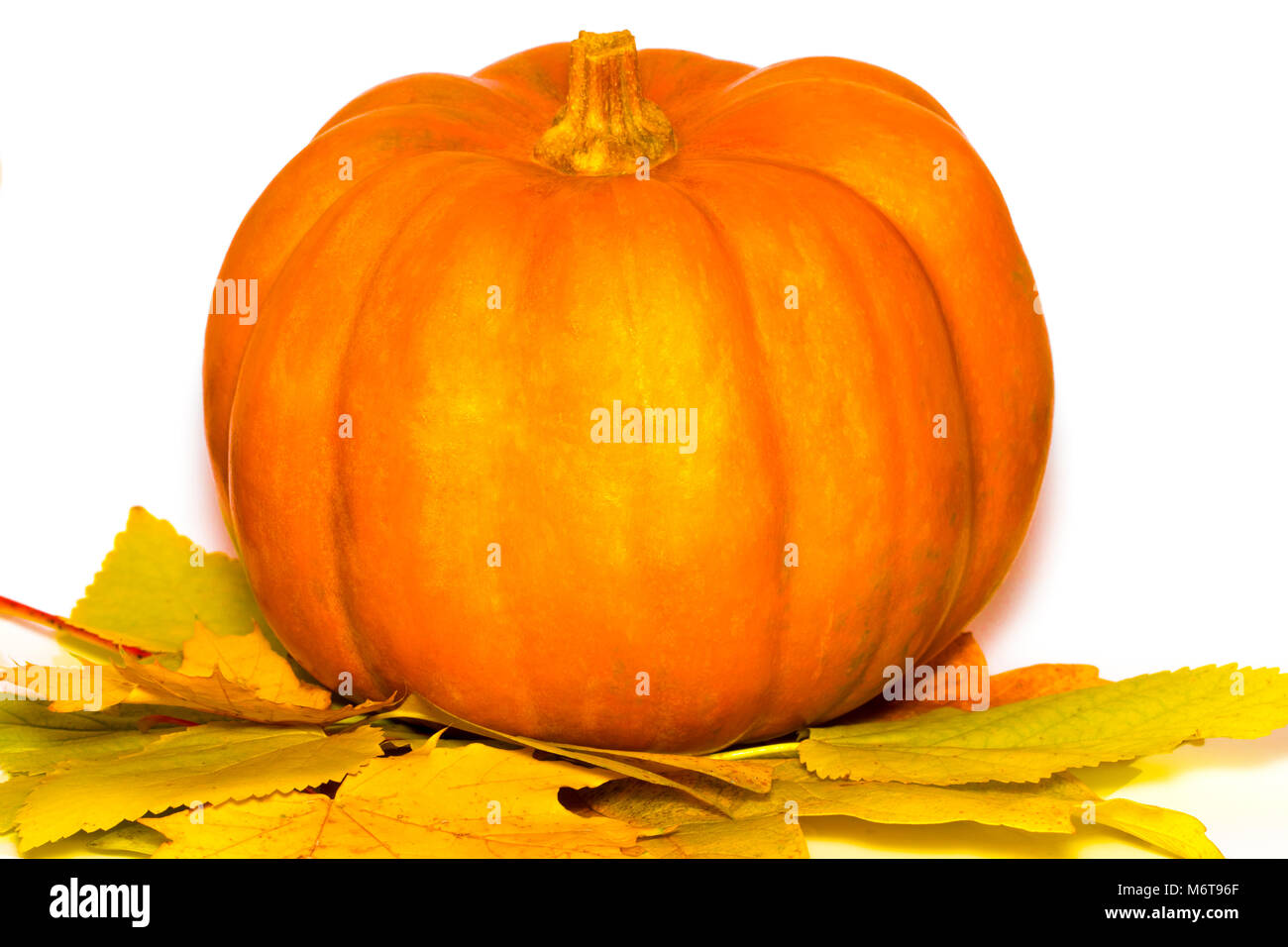 Pumpkin with dry autumn leaves isolated on white background Stock Photo ...