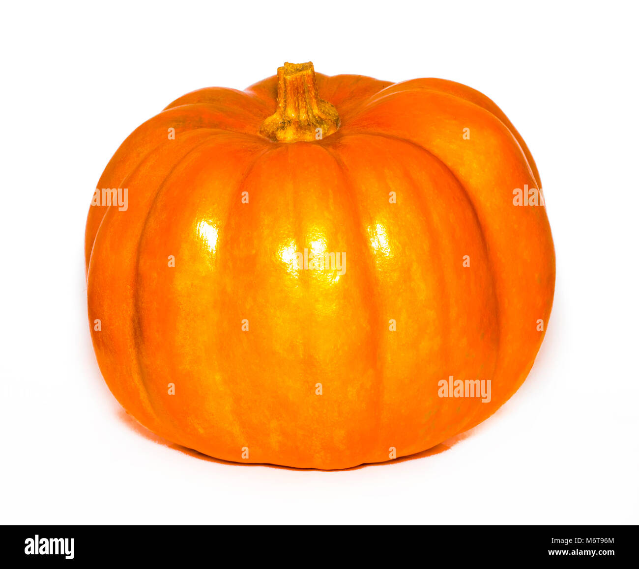 Fresh orange pumpkin isolated on white background Stock Photo - Alamy