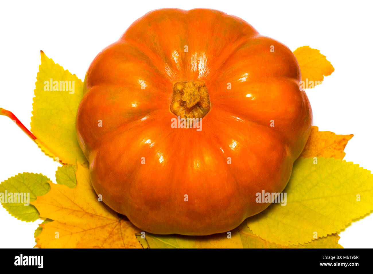 Pumpkin with dry autumn leaves isolated on white background Stock Photo ...