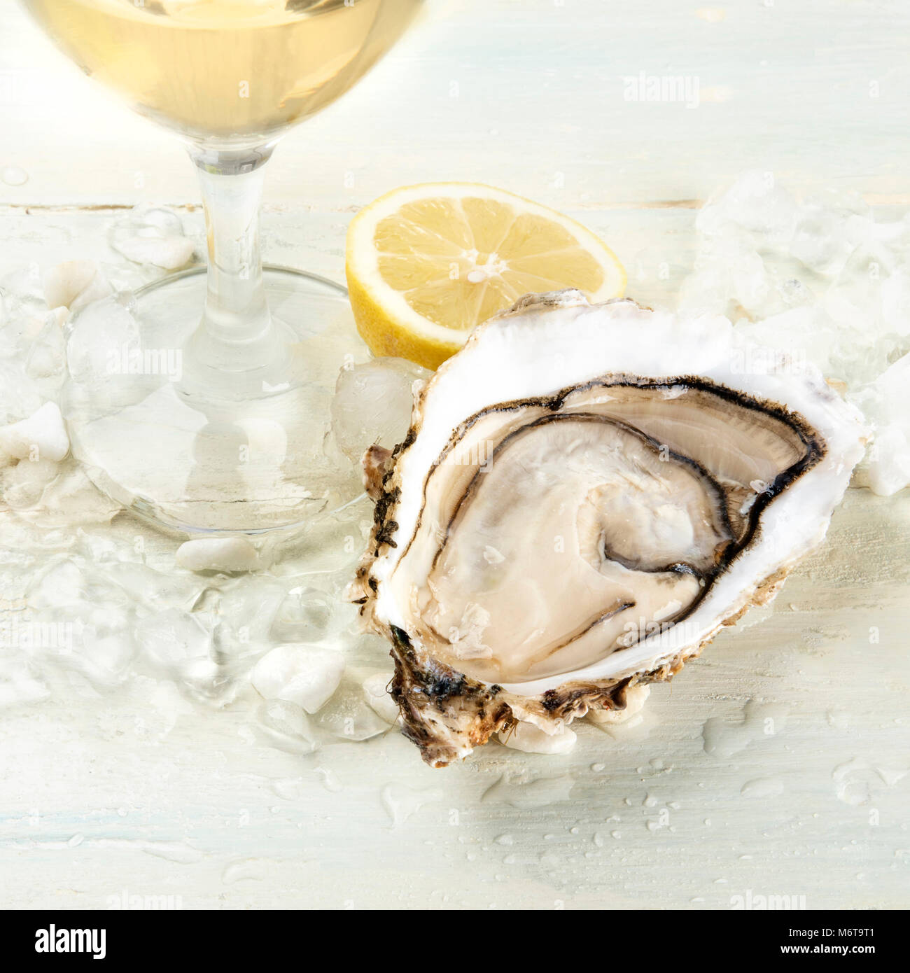 Oyster lemon wine hires stock photography and images Alamy
