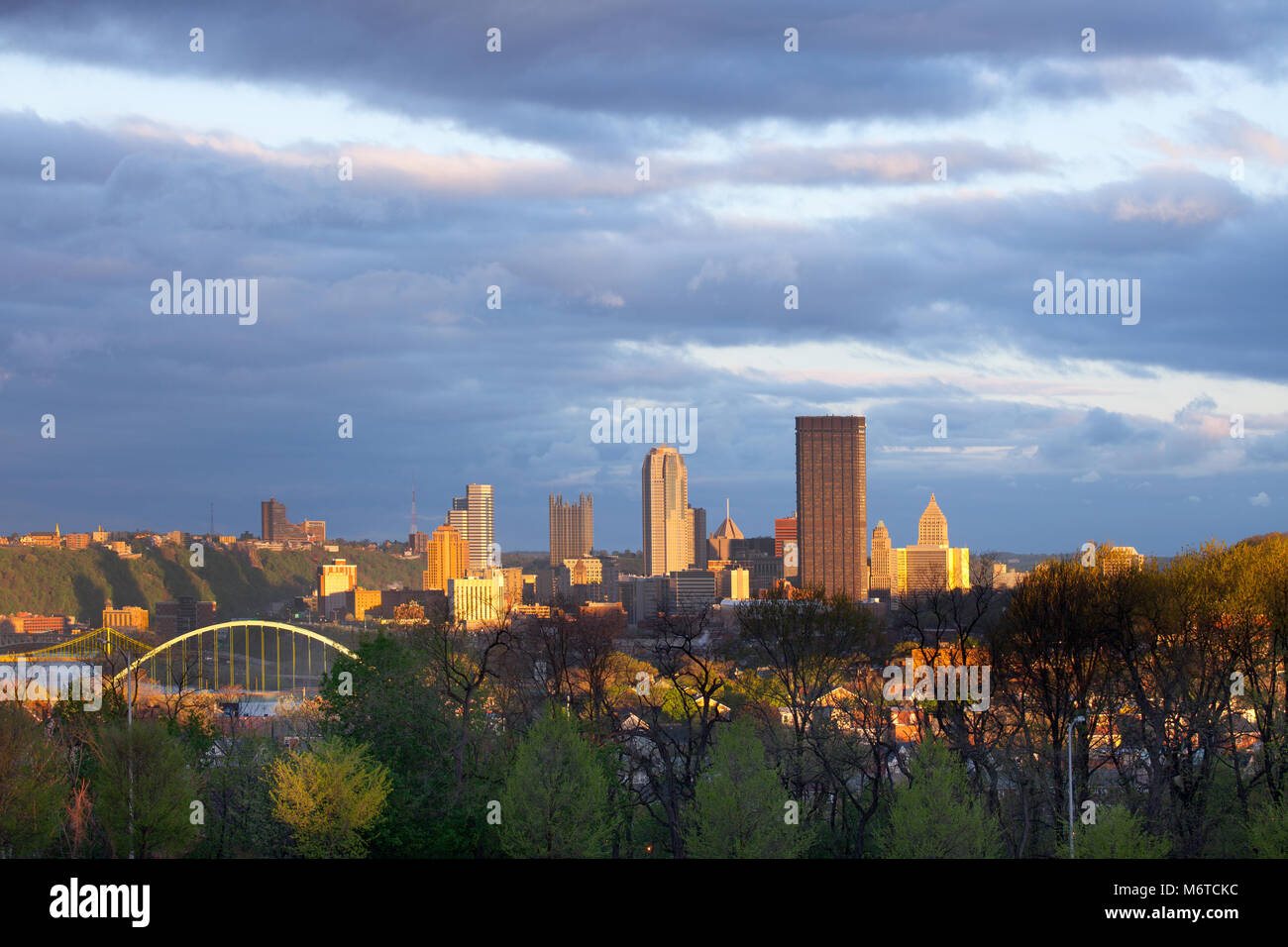 Schenley Park at Oakland neighborhood and downtown city skyline