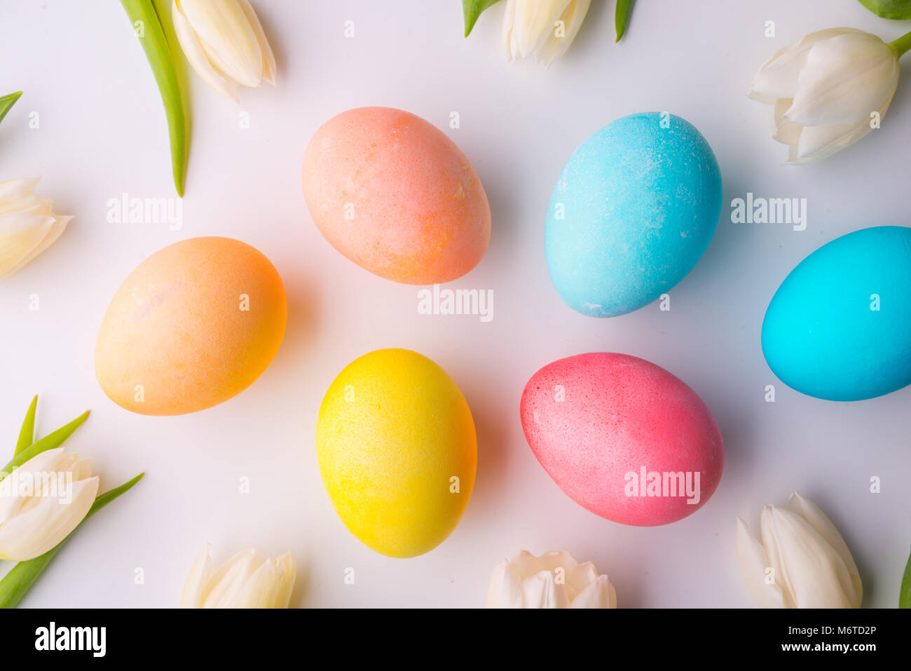 Flowers and colorful eggs on a white background Stock Photo - Alamy