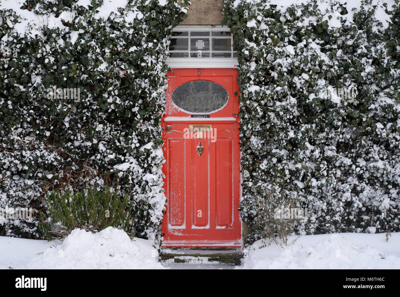 Red doored house surrounded by ivy in wintery conditions Stock Photo