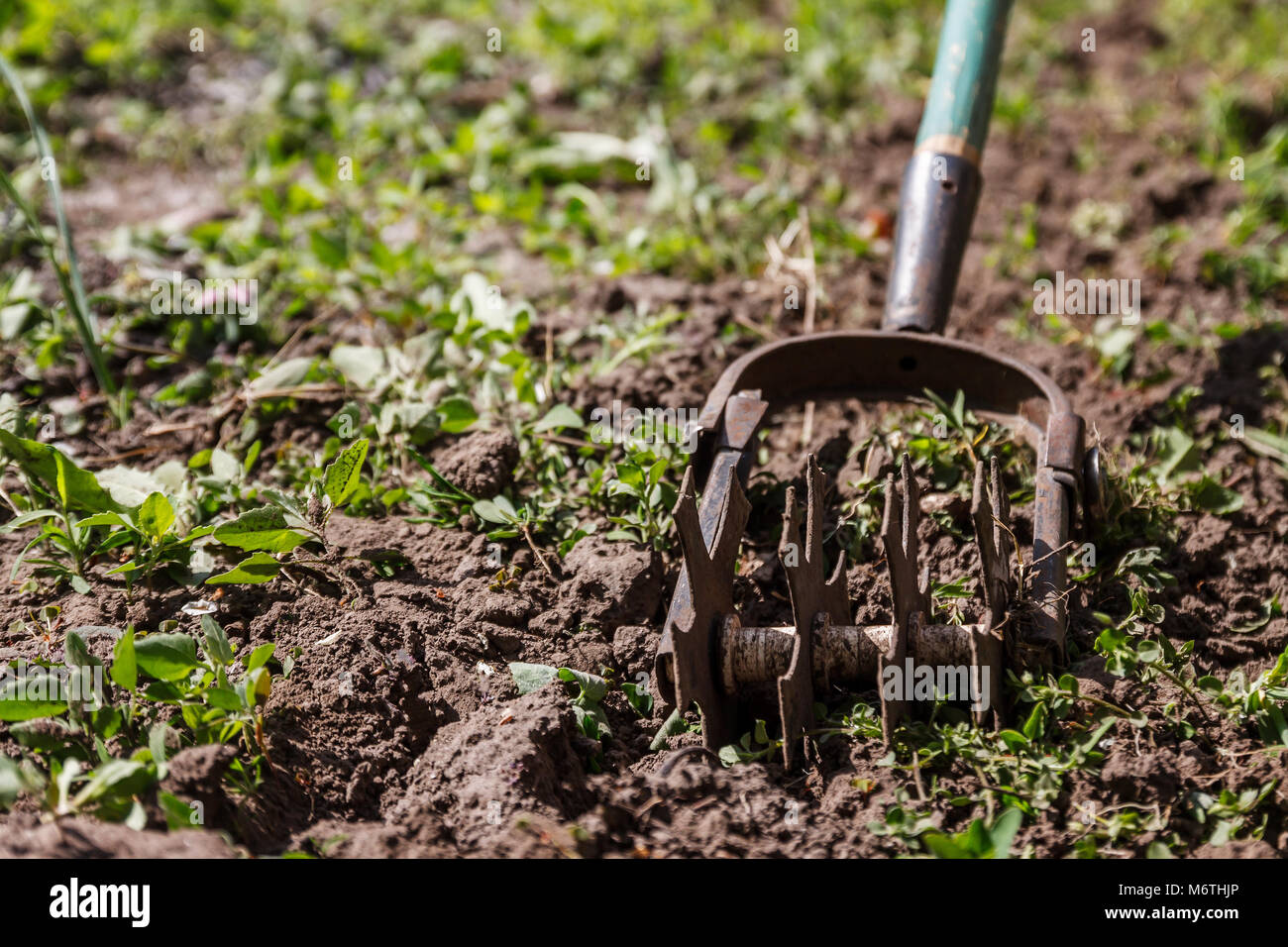 Star hand cultivator to work the soil, weed the garden. The concept of