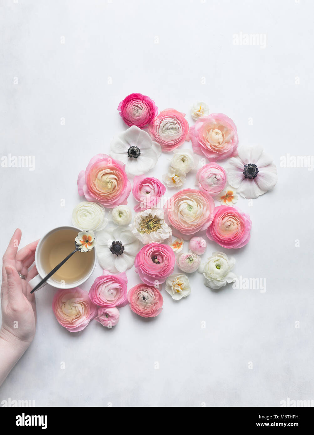 Spring flowers arranged on white & grey backdrop with hand touching teacup Stock Photo