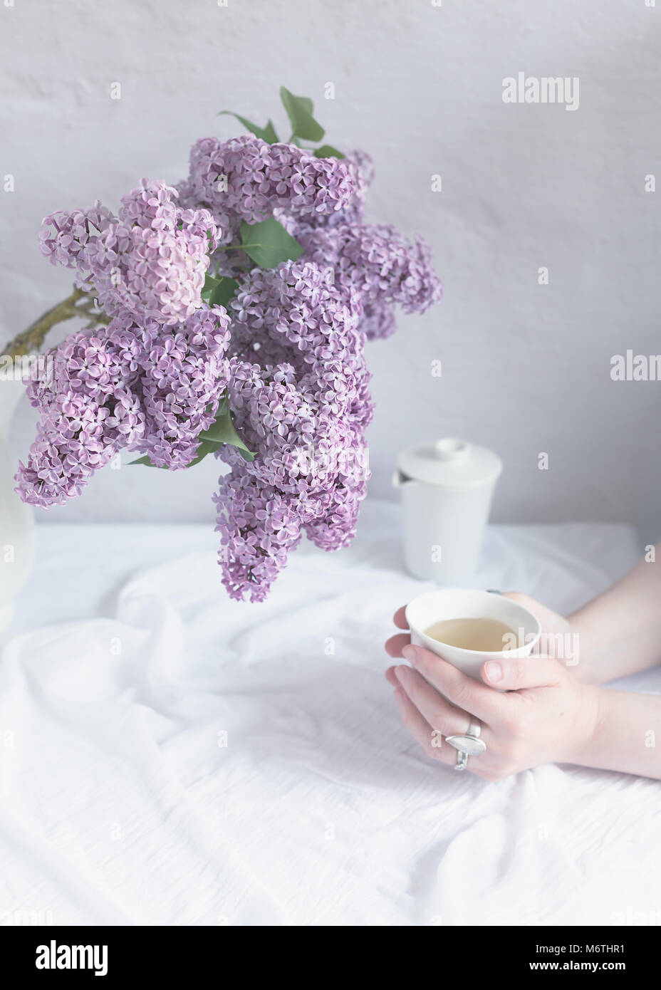 indoor scene, natural light, female hands holding a cup of tea, on a table covered with white fabric, with teapot and fresh cut lilac flowers Stock Photo