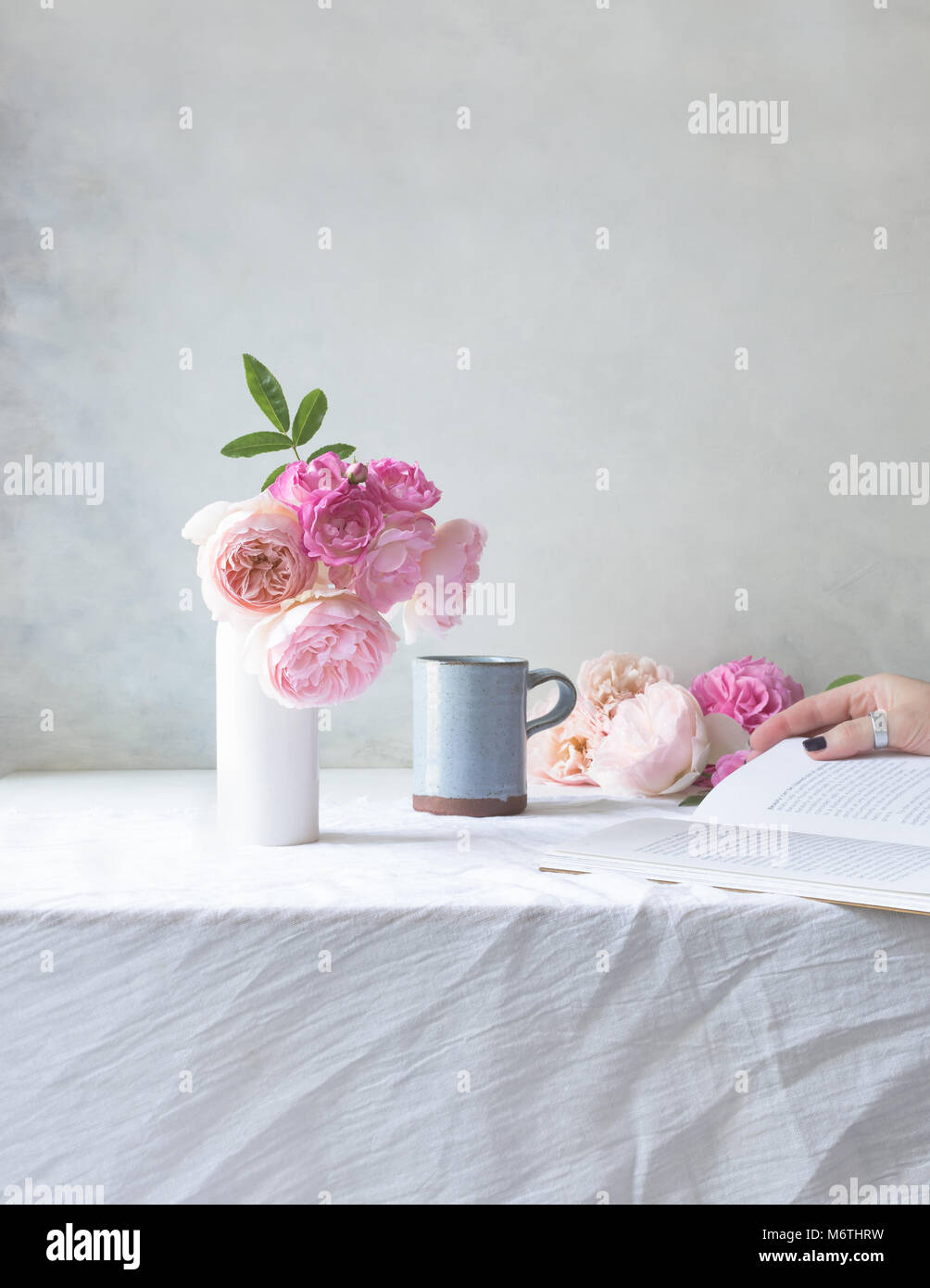 Indoor scene with David Austin pink roses in a white vase on tablle, with mug, and hand in the background holding book Stock Photo
