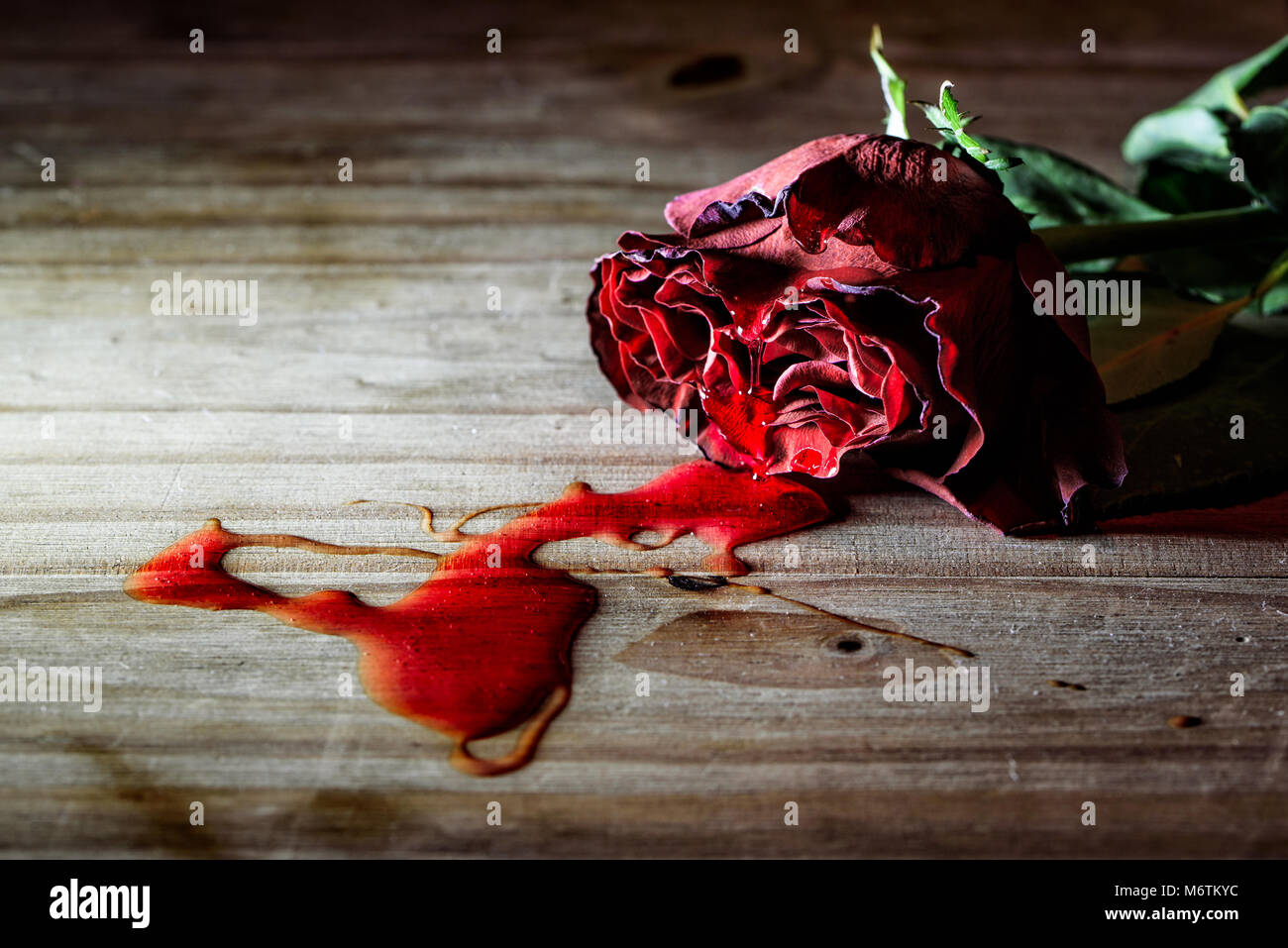 Blood From A Rose bonito girly love loving pretty red roses HD  phone wallpaper  Peakpx