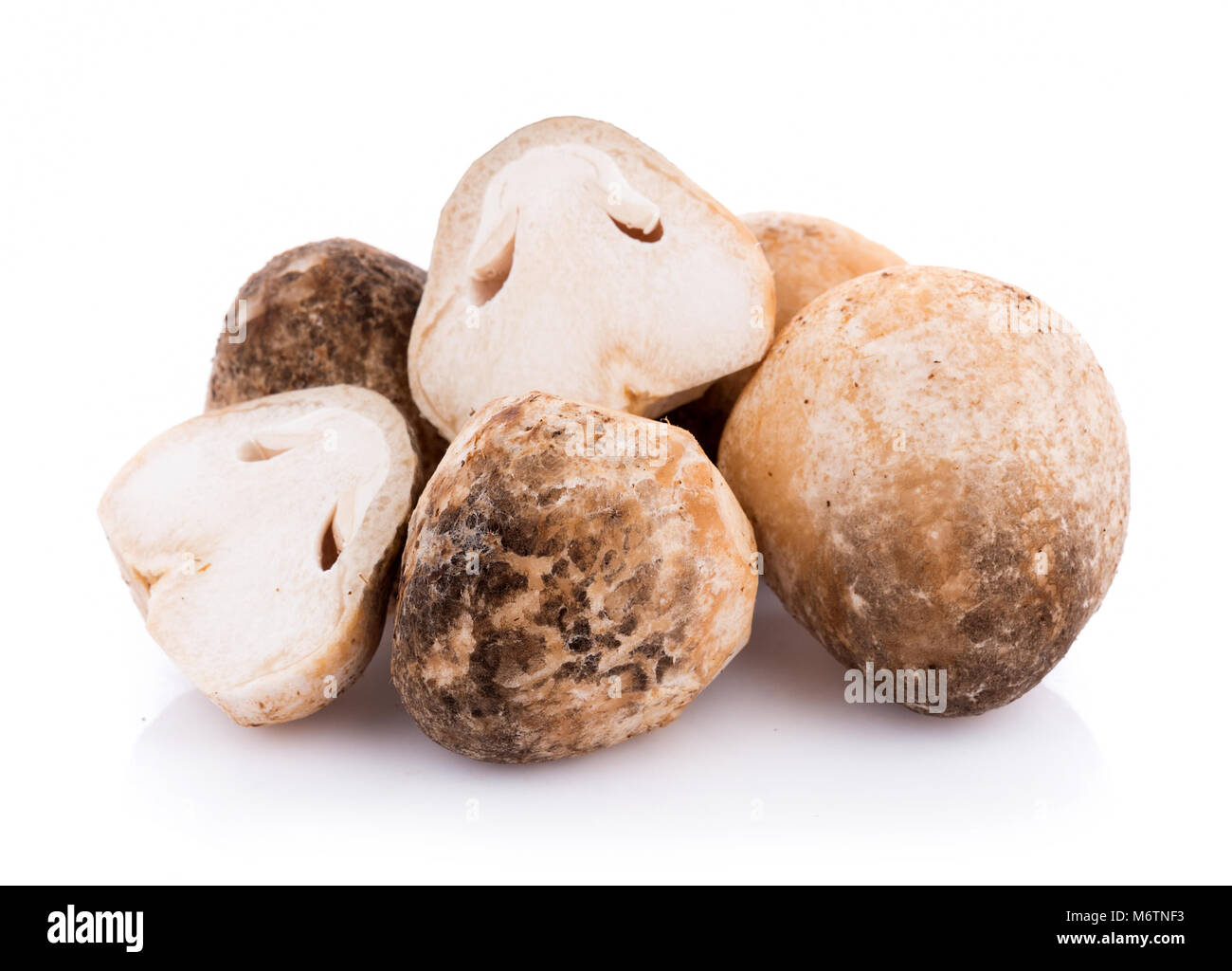 Straw mushrooms isolated on white background Stock Photo - Alamy