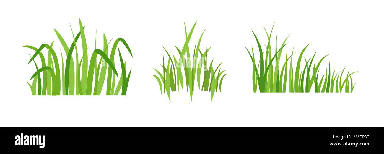 Eco green grass icons Stock Vector