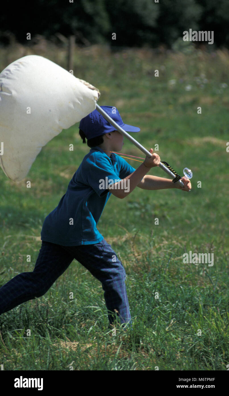 young boy running with butterfly net Stock Photo