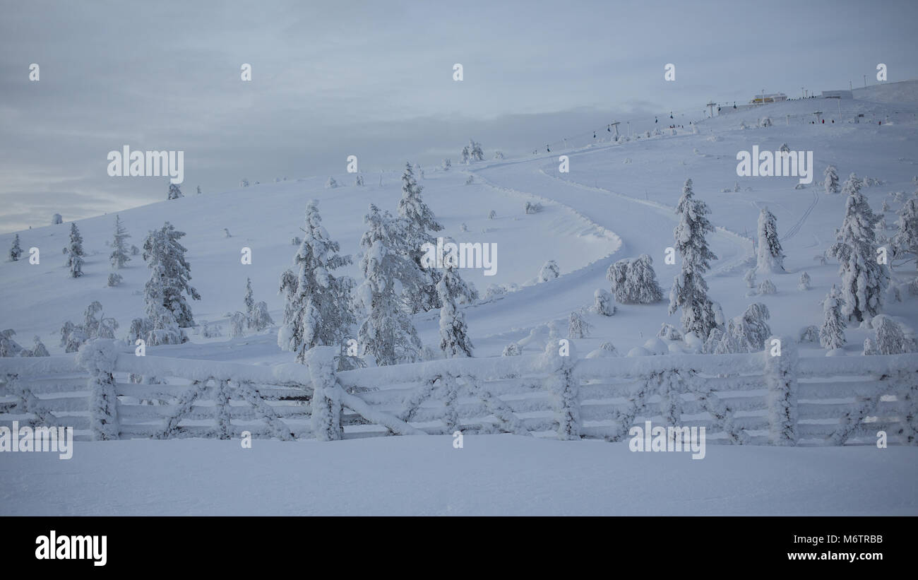 at Levi ski resort in Finland Stock Photo - Alamy