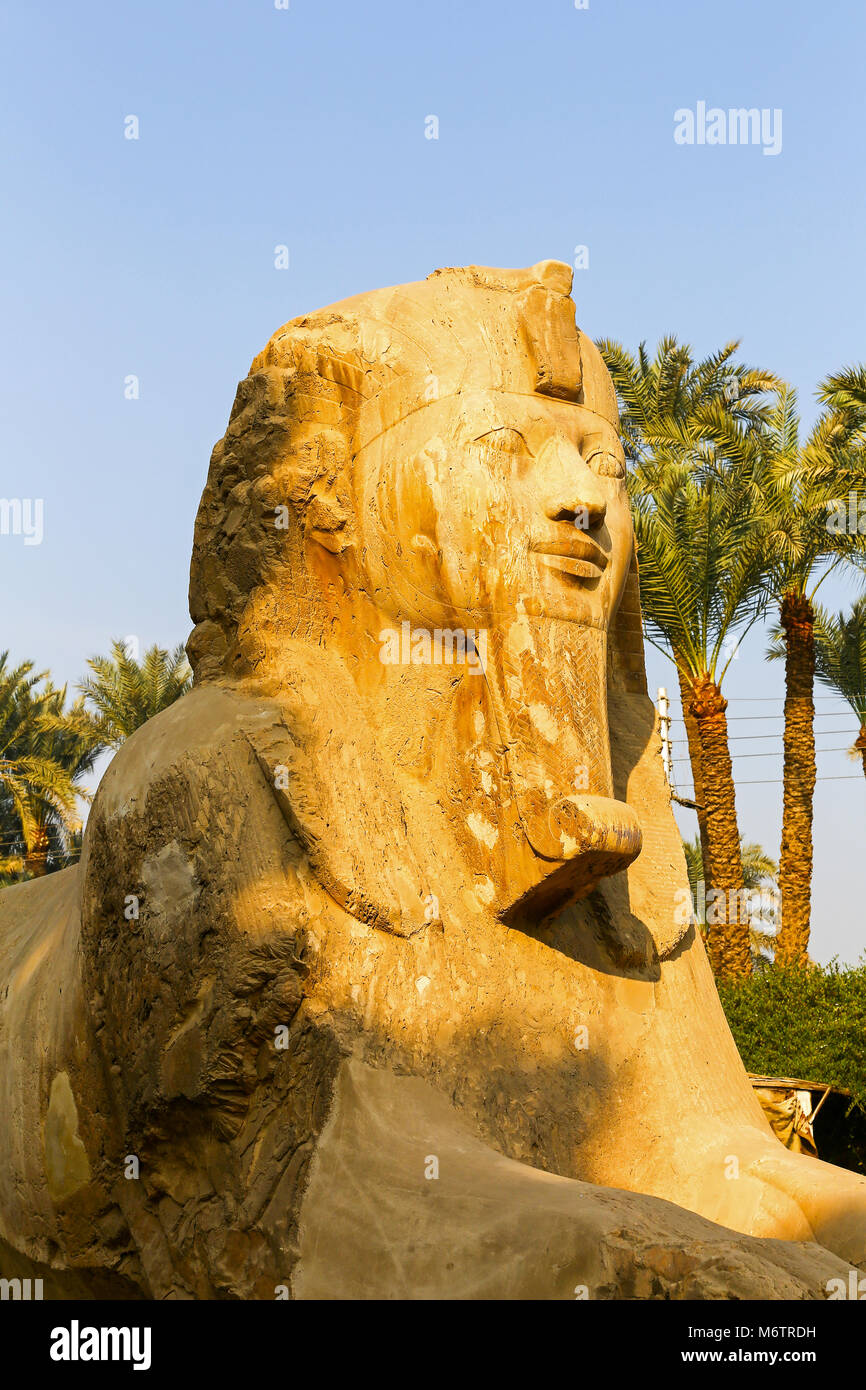 Alabaster Sphinx At Memphis Museum High Resolution Stock Photography ...