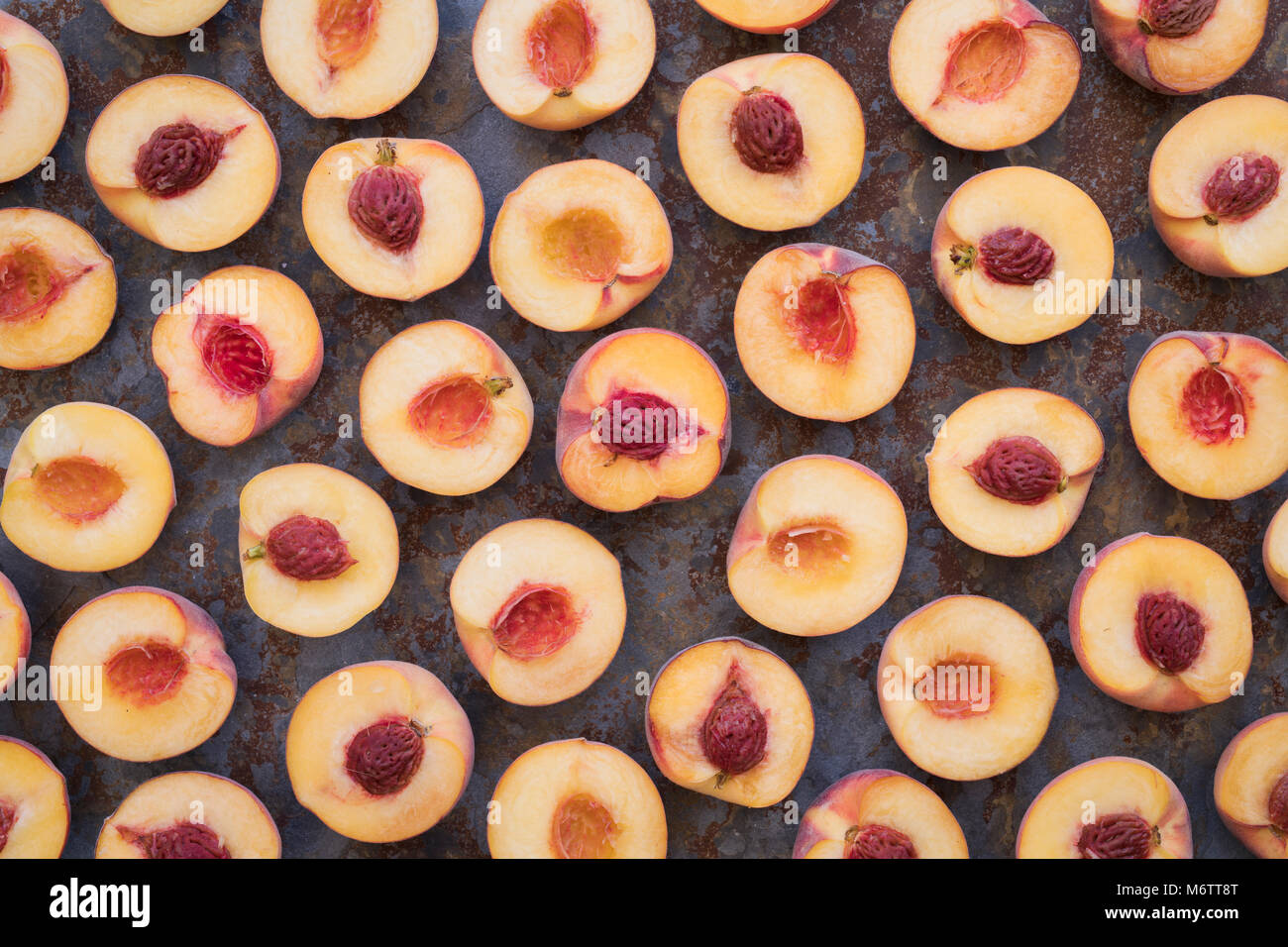 Prunus persica. Peaches pattern on a slate background Stock Photo